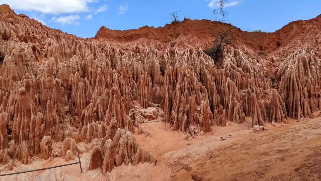 Pinnacles de latérite rouge des Tsingy Rouges d'Irodo dans le nord de Madagascar