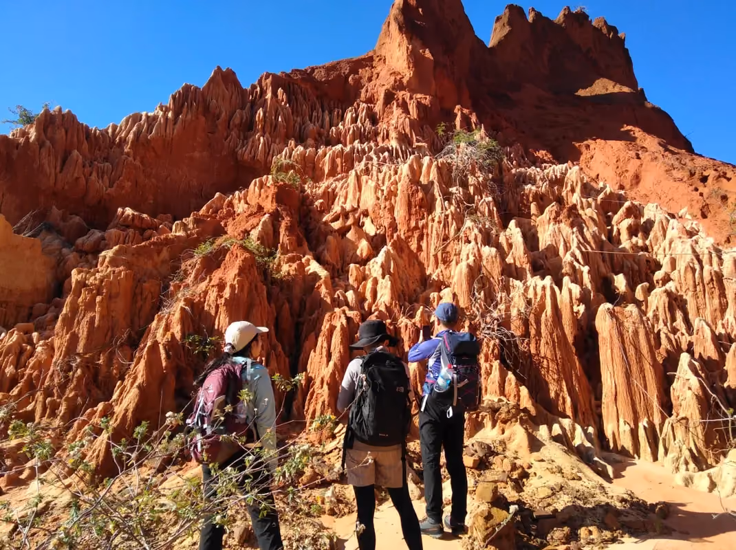 Sentier sinueux entre les formations des Tsingy Rouges