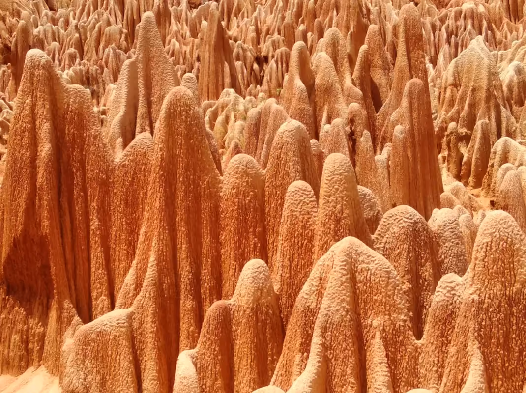 Lumière du soleil sur les pinnacles cramoisis des Tsingy Rouges d'Irodo