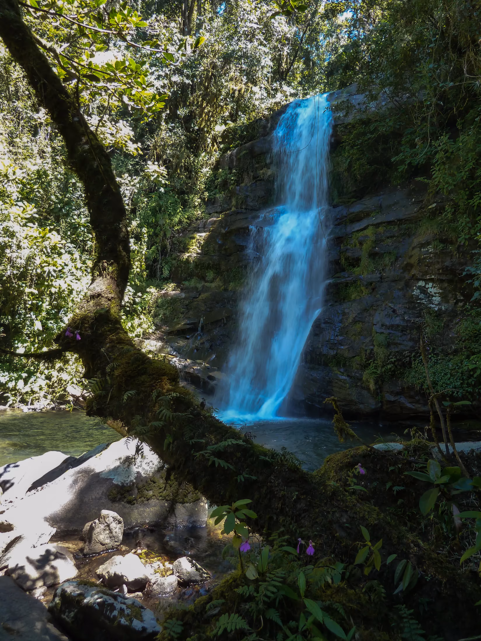 Cascade dans la forêt pluviale de Ranomafana