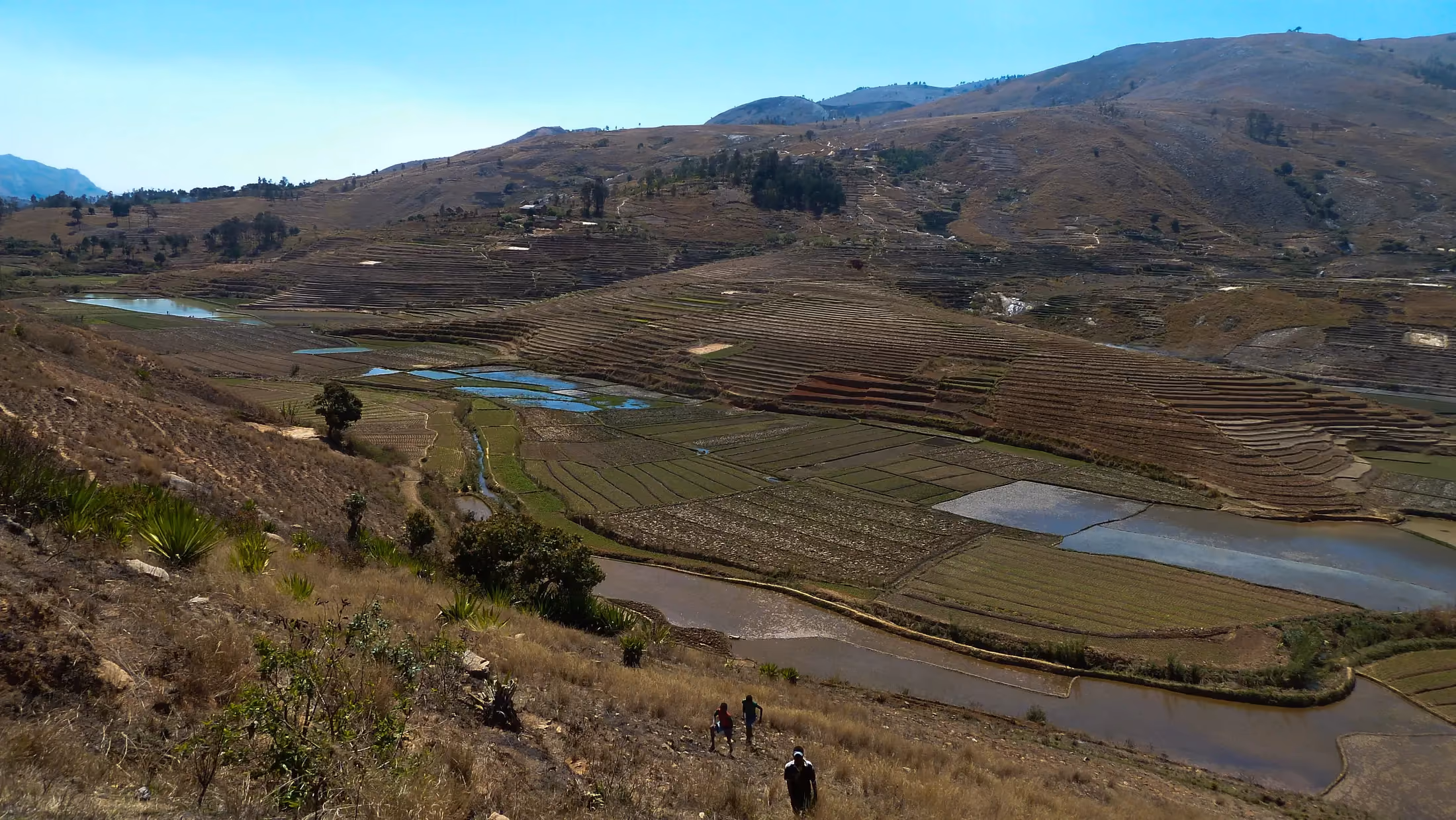 Rizières en terrasses dans les hautes terres de Madagascar