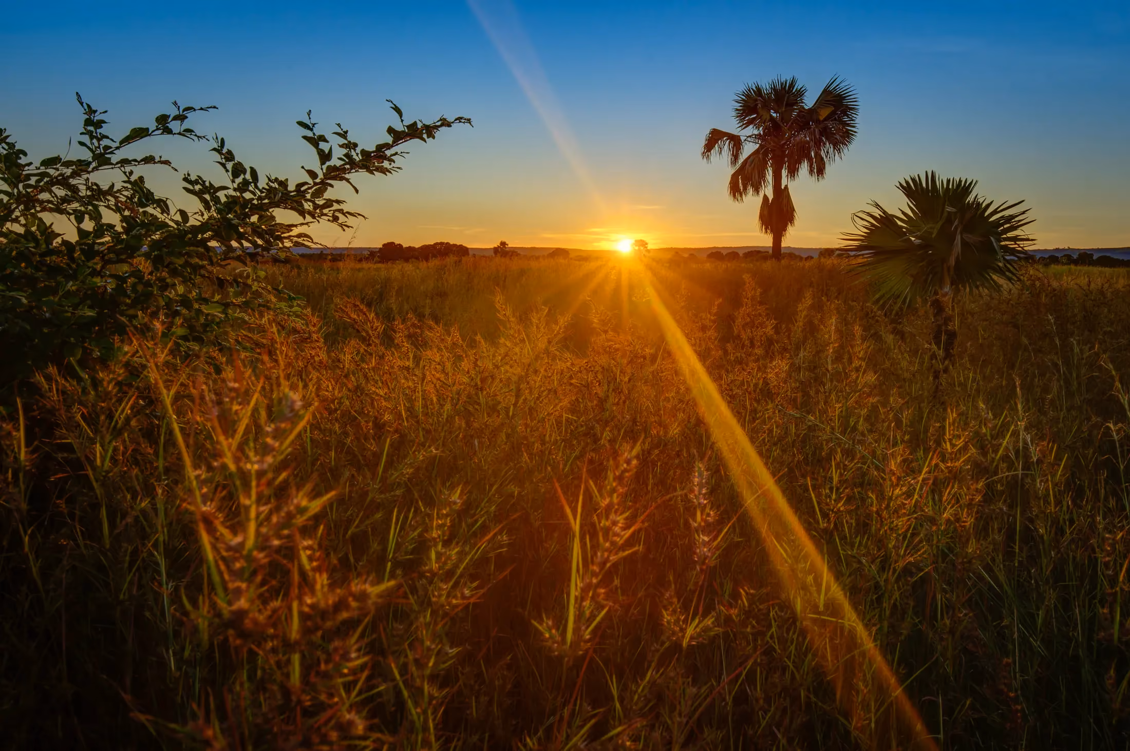 Coucher de soleil sur le paysage malgache