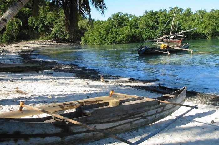 Lokobe: Immersion in Primary Forest