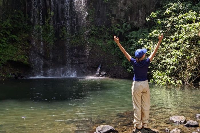 The Mountain of Amber: Enchanted Tropical Forest
