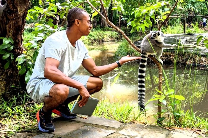 Lemuria Land & Local Market: Cultural Discovery