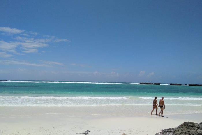 THE THREE BAYS TOURS – 4/5H